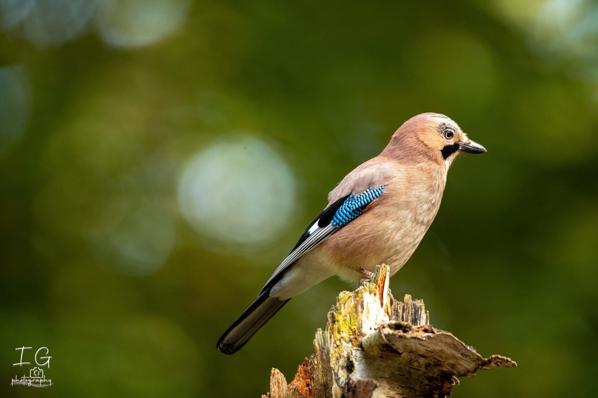 20211015  5D49141 instagram